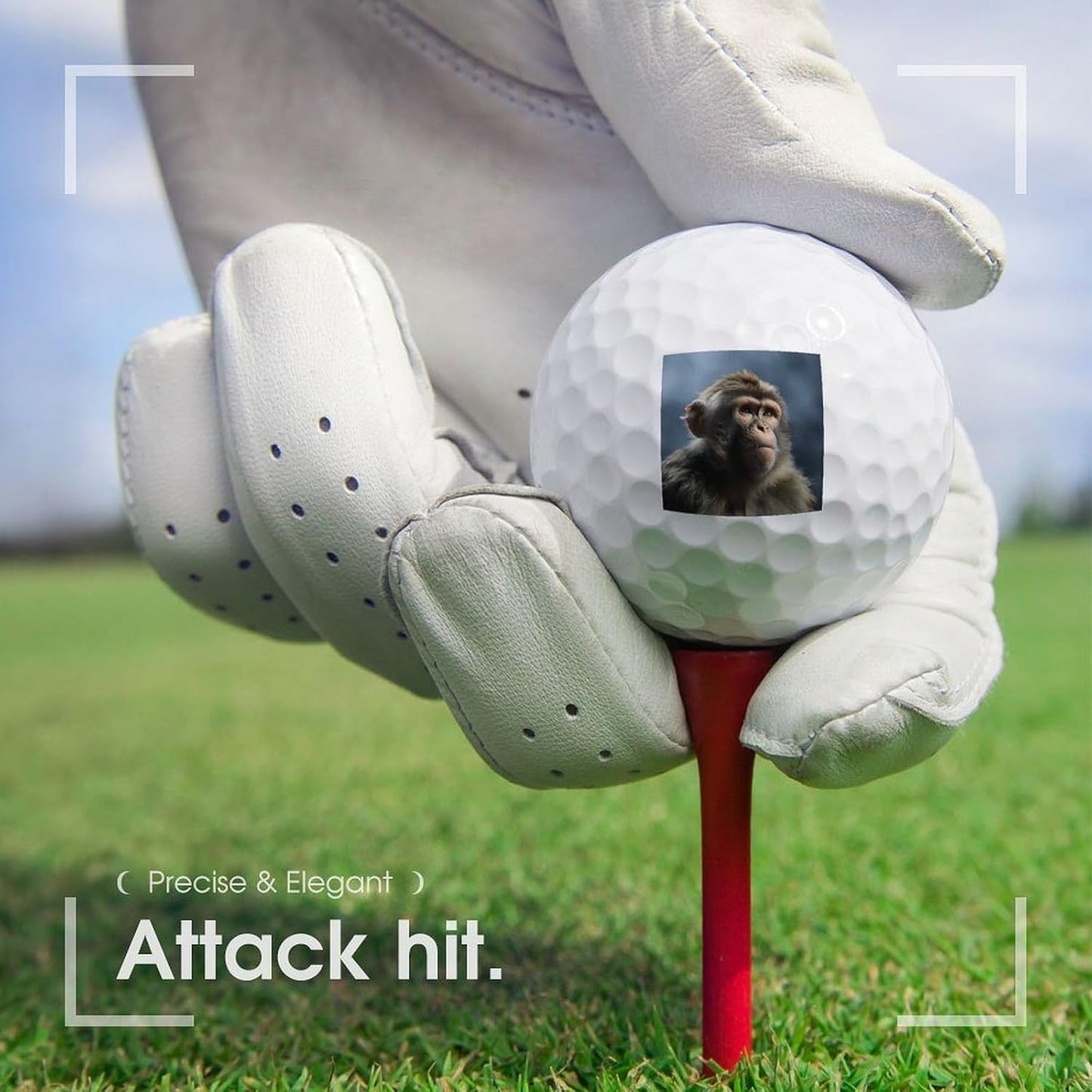 Monkey Golf Balls Golf Balls for Men Golf Ball Bulk Callaway Golf Balls Range Golf Balls Best Golfballs for Women Distance Golf Balls Golf Accessories